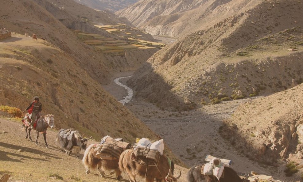 Dolpo Region Trek