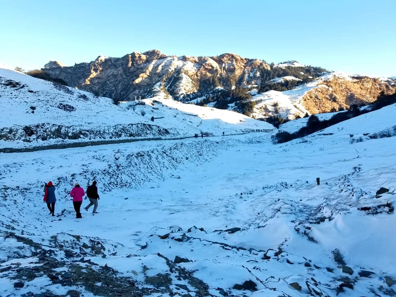 Snowfall in Kalinchowk